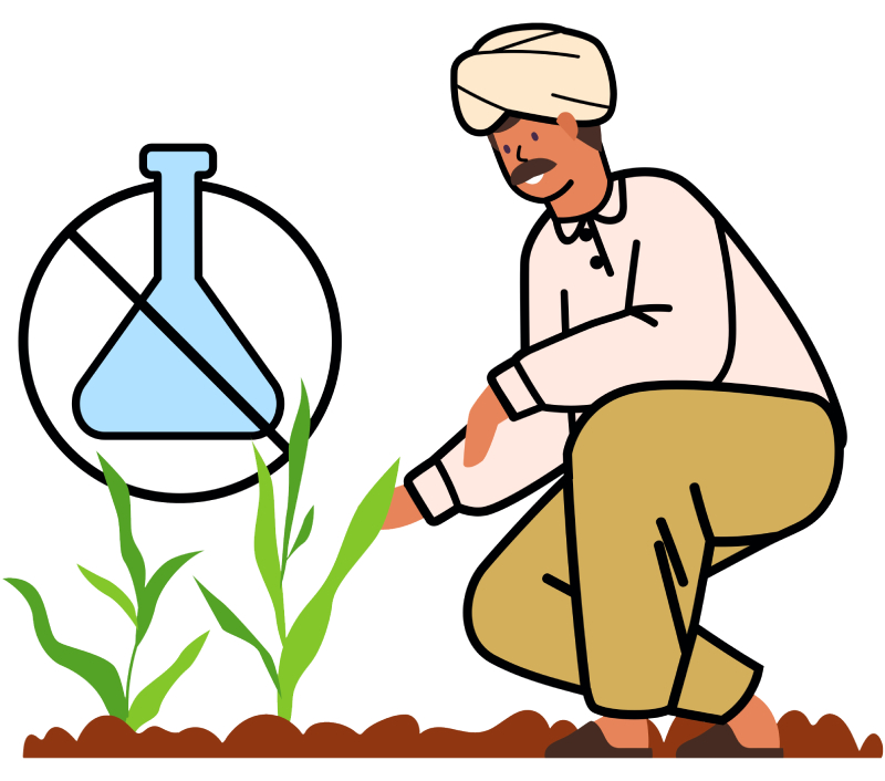 Akshayakalpa meticulous training and guidance to farmer families in organic farming practices.